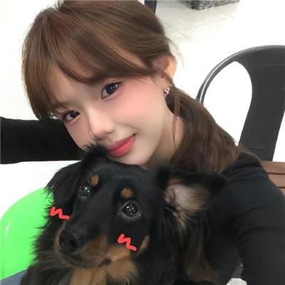 女王蜂游戏